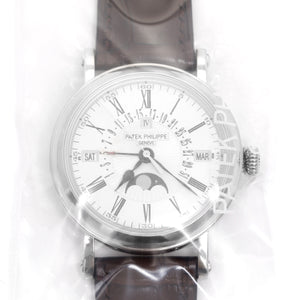 Patek Philippe & Co. Complications Perpetual Calendar 5159 G