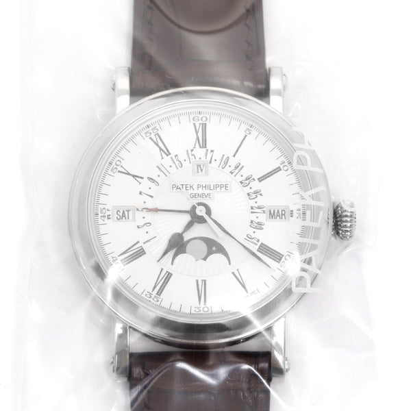 Patek Philippe & Co. Complications Perpetual Calendar 5159 G