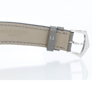 Patek Philippe Annual Calendar  Watch 5056 P or 5056P