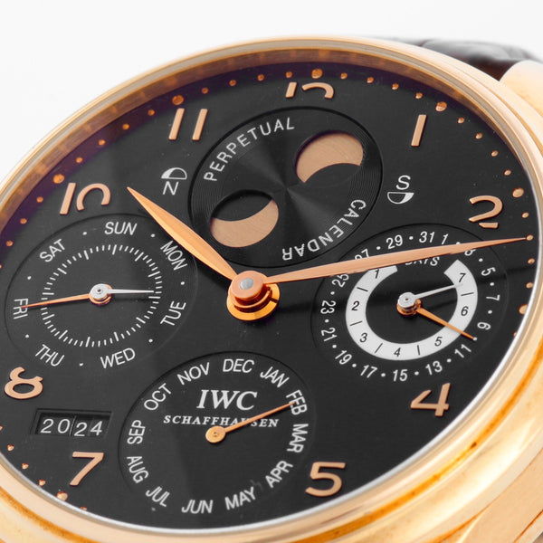 IWC Portuguese 7 Days Perpetual Calendar 18k Rose Gold Men's Complicated Watch IW503202