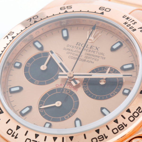 Rolex Everose Cosmograph Daytona Sundust Dial Black Subdials 116505