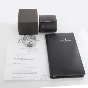 Patek Philippe Tiffany Twenty-4 Ladies Steel & Diamond Watch 4910/10A