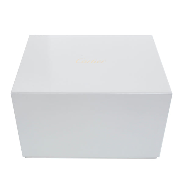 Cartier Santos de Cartier Skeleton Stainless Steel Watch WHSA0015 4109