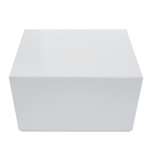 Cartier Santos de Cartier Blue Skeleton Stainless Steel Watch WHSA0026 4109