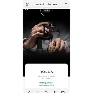 Rolex Day-Date President 18K Gold Blue Dial Watch 19018