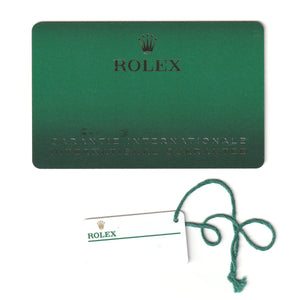 Rolex Oyster Perpetual Men's 41mm Stainless Steel 124300