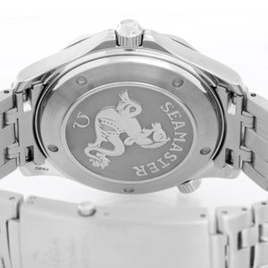 Omega Seamaster Stainless Steel Diver 300M Men's Watch 2220.80.00